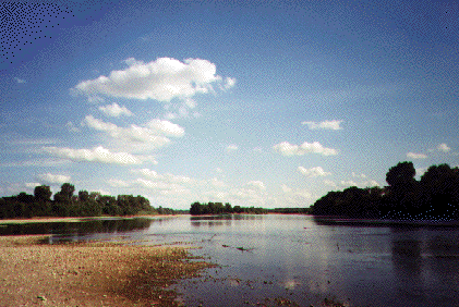 La Loire  Mesves-sur-Loire (France-Nivre)