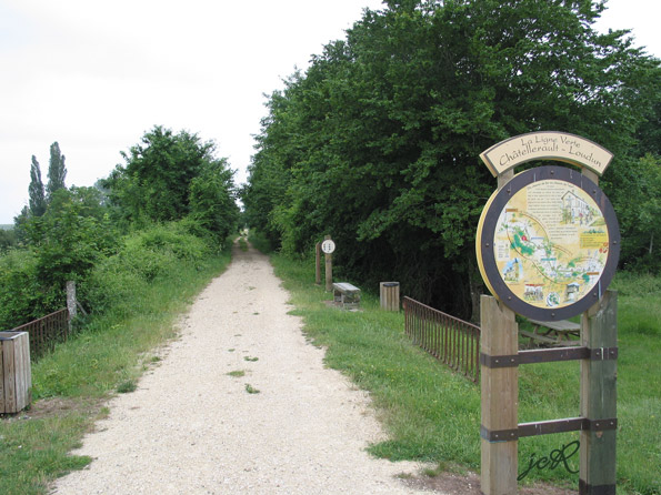 La ligne verte au passage de la D46 prt de Monts-sur-Guesnes