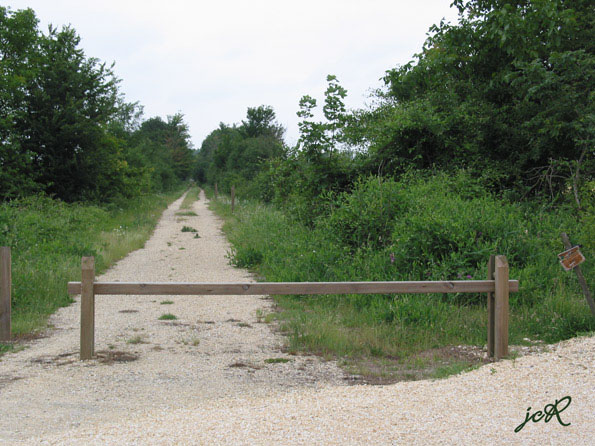 La ligne verte au passage de la D46 prt de Monts-sur-Guesnes