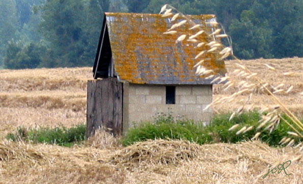 Maison de vigne dans la rgion de Ranton (France - Vienne)
