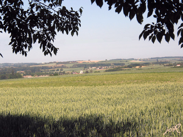 Panorama vu du puis d'Ardane vers le N.O.